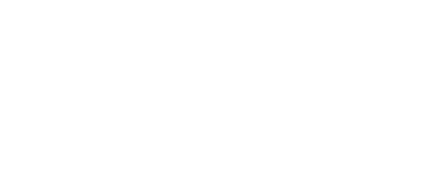 Iconwevb